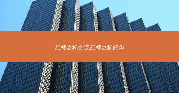 红楼之挽金钗;红楼之挽韶华