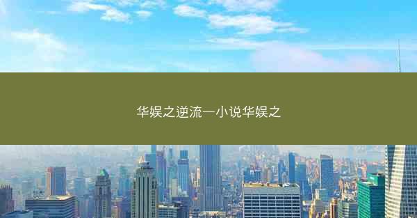 华娱之逆流—小说华娱之