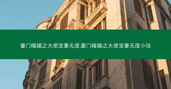 豪门暖婚之大佬宠妻无度,豪门暖婚之大佬宠妻无度小说