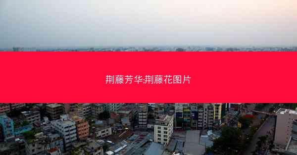 荆藤芳华;荆藤花图片