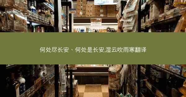 何处尽长安、何处是长安,湿云吹雨寒翻译