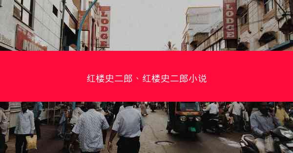 红楼史二郎、红楼史二郎小说