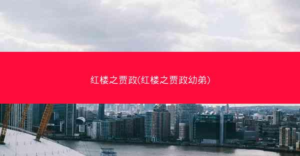 红楼之贾政(红楼之贾政幼弟)