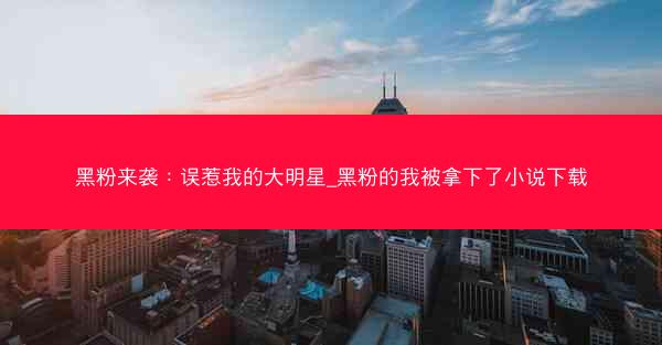 黑粉来袭：误惹我的大明星_黑粉的我被拿下了小说下载