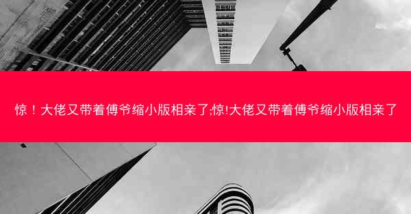 惊！大佬又带着傅爷缩小版相亲了;惊!大佬又带着傅爷缩小版相亲了