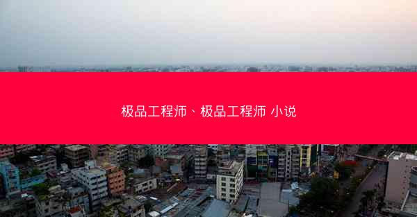 极品工程师、极品工程师 小说