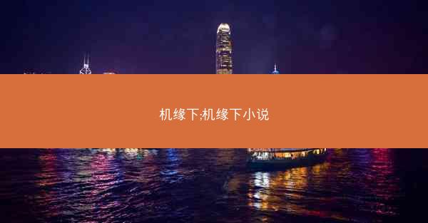 机缘下;机缘下小说