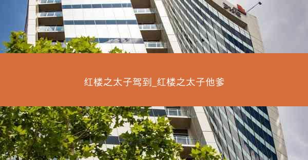 红楼之太子驾到_红楼之太子他爹